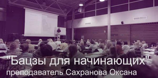 Бацзы для начинающих (Оксана Сахранова)