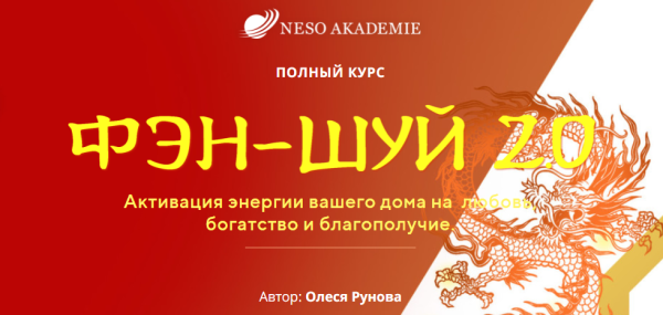 Фэн-Шуй 2019. Активация энергии вашего дома на  любовь, богатство и благополучие. П-С (Олеся Рунова)