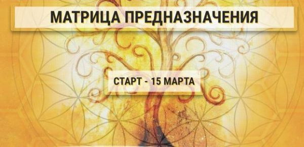 Матрица предназначения. Личный уровень (Ольга Кaруна)