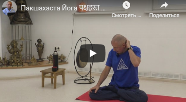 Пакшахаста Йога  Йога для избавления от проблем с плечами, руками и пальцами рук (часть 12) [Шива]