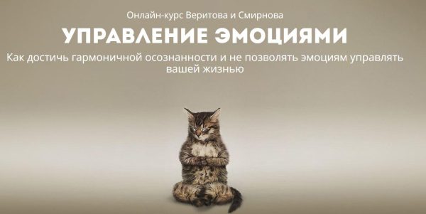 Управление эмоциями (Евгений Веритов, Сергей Смирнов)