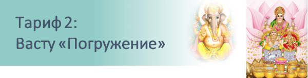 Васту. Полный курс от А до Я. Тариф Погружение (Надежда Рахимова)